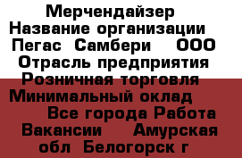 Мерчендайзер › Название организации ­ "Пегас" Самбери-3, ООО › Отрасль предприятия ­ Розничная торговля › Минимальный оклад ­ 23 500 - Все города Работа » Вакансии   . Амурская обл.,Белогорск г.